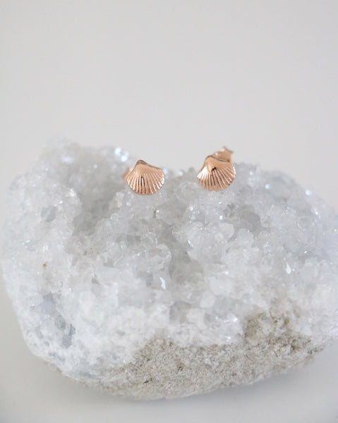 Shell Studs - Rose Gold