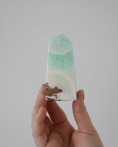 ￼ Caribbean Calcite Tower