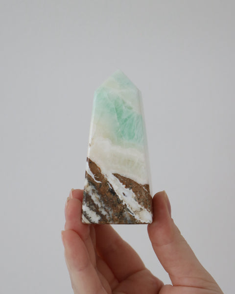 ￼ Caribbean Calcite Tower