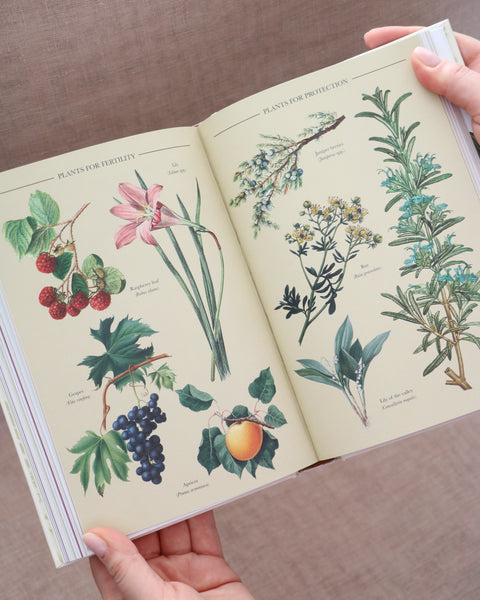 A Practical Guide To Magic In Nature