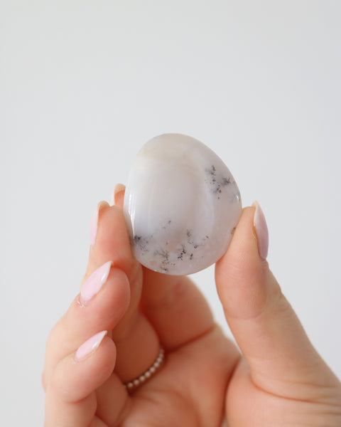 Dendritic Agate - 02