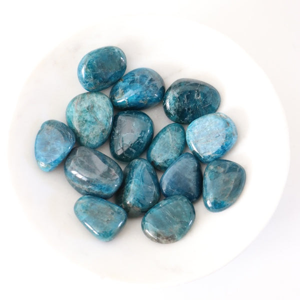 Tumbled Stone - Blue Apatite (Get Sh*t Done)