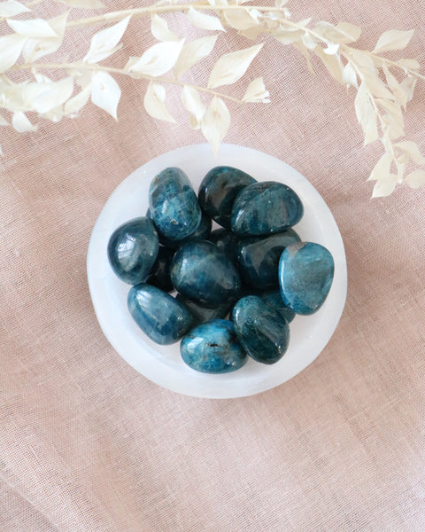 Tumbled Stone - Blue Apatite Large (Get Sh*t Done)