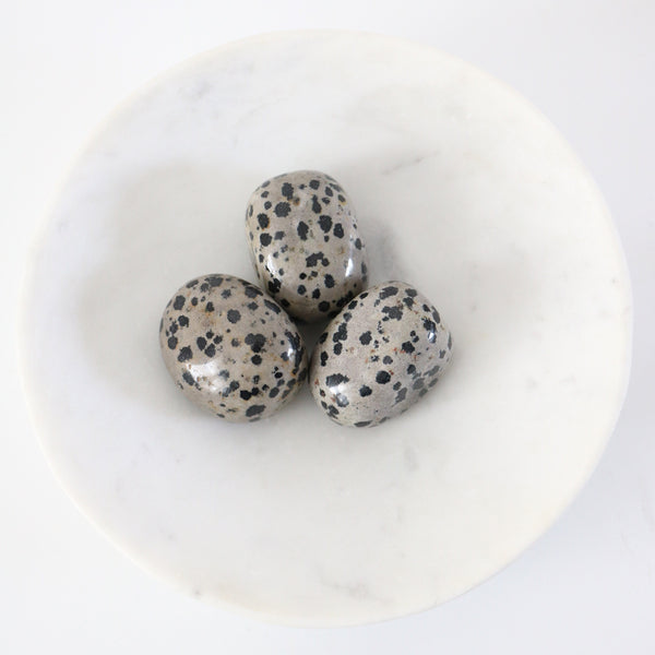 Tumbled Stone - Dalmatian Jasper