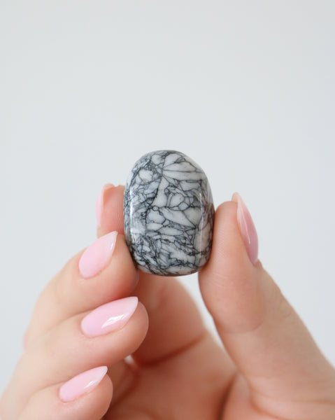 Tumbled Stone - Pinolith (rare)
