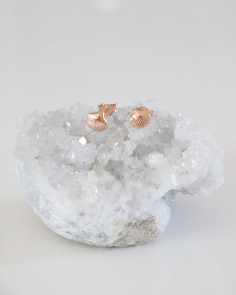Shell Studs - Rose Gold