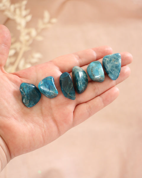 Tumbled Stone - Blue Apatite (Get Sh*t Done)